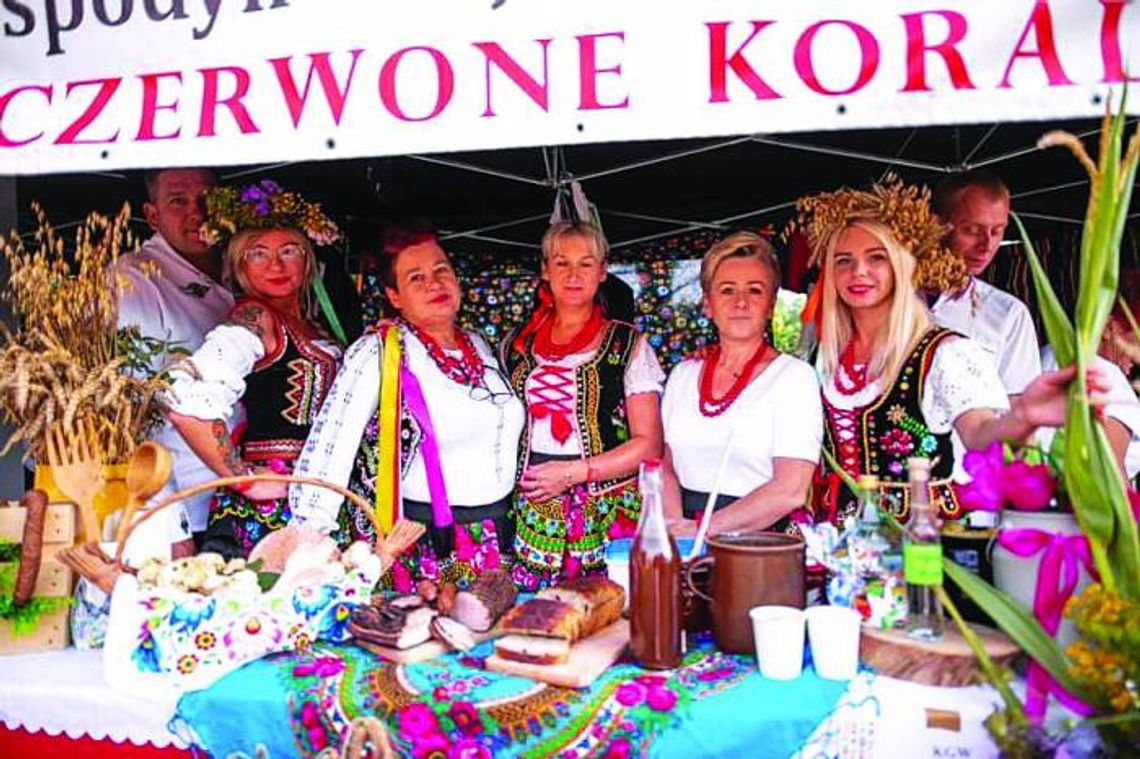 MISS WDZIĘKU DWA RAZY I PIJANY KRÓLIK