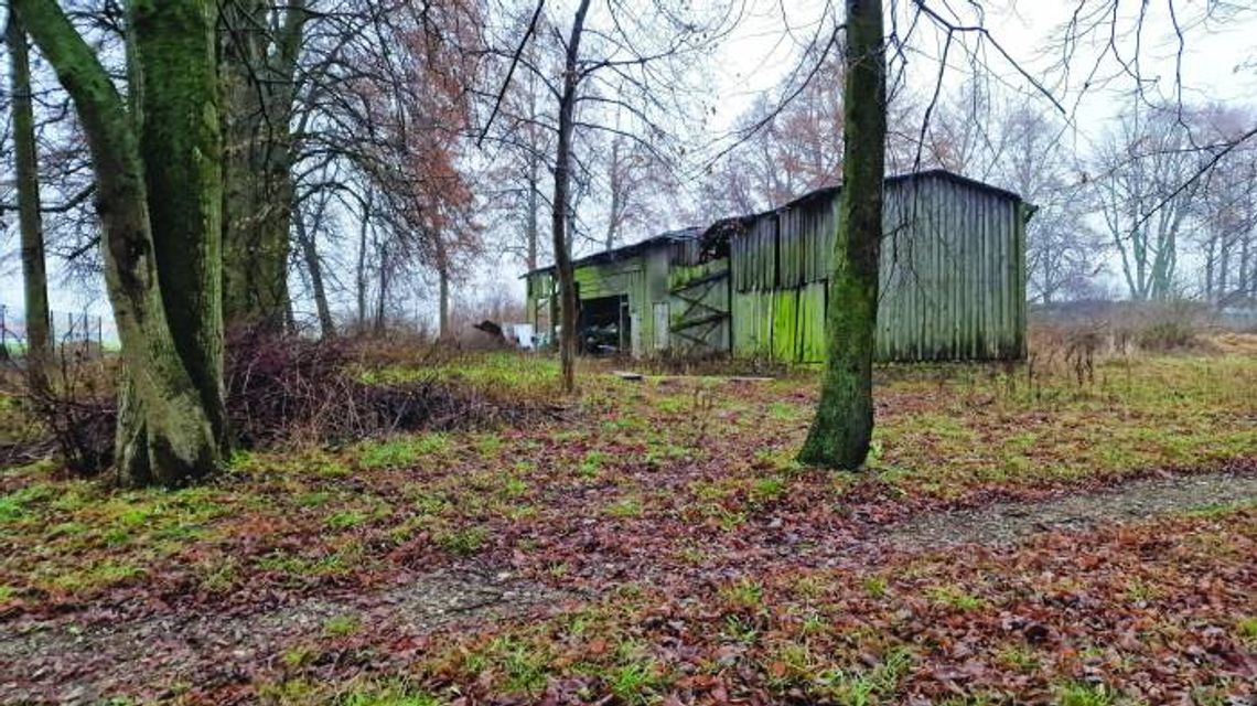 Mój punkt widzenia