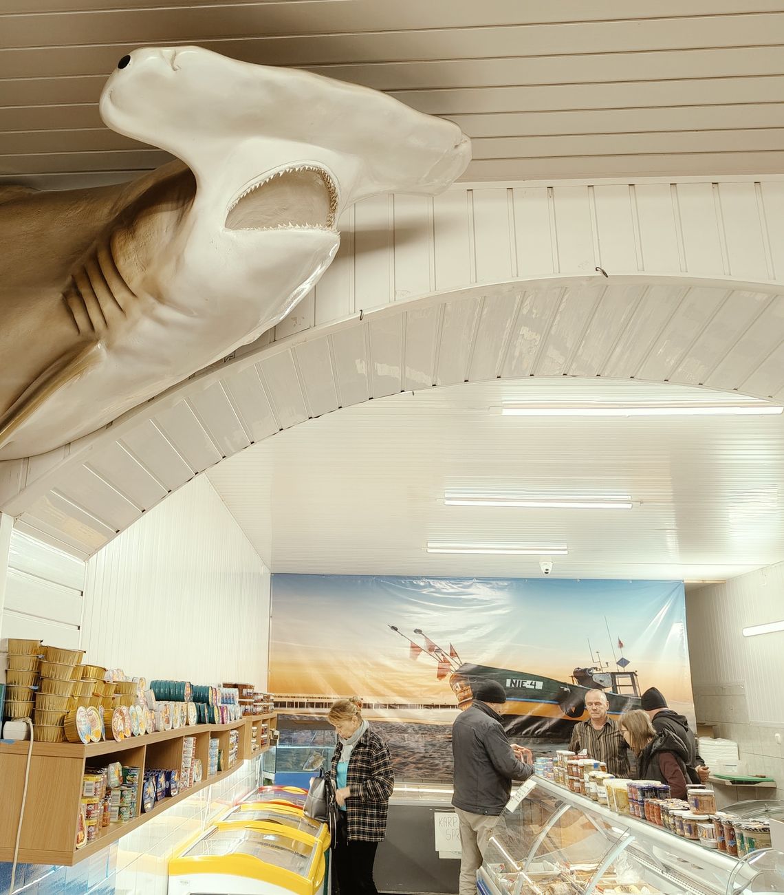 MOŻNA SIĘ ZDROWO WYŻYWIĆ I... PODLECZYĆ MOŻNA SIĘ ZDROWO WYŻYWIĆ I... PODLECZYĆ