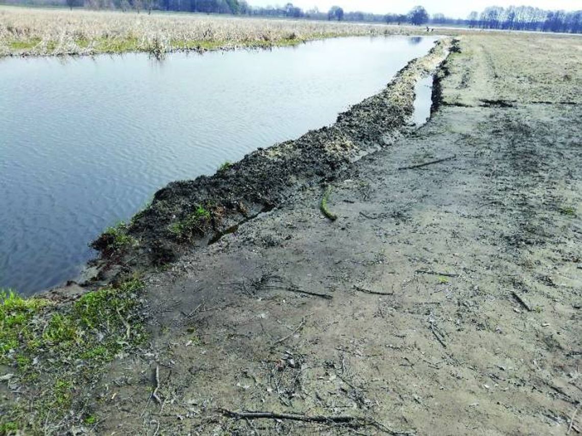 Na głupotę nie ma mocnych?!