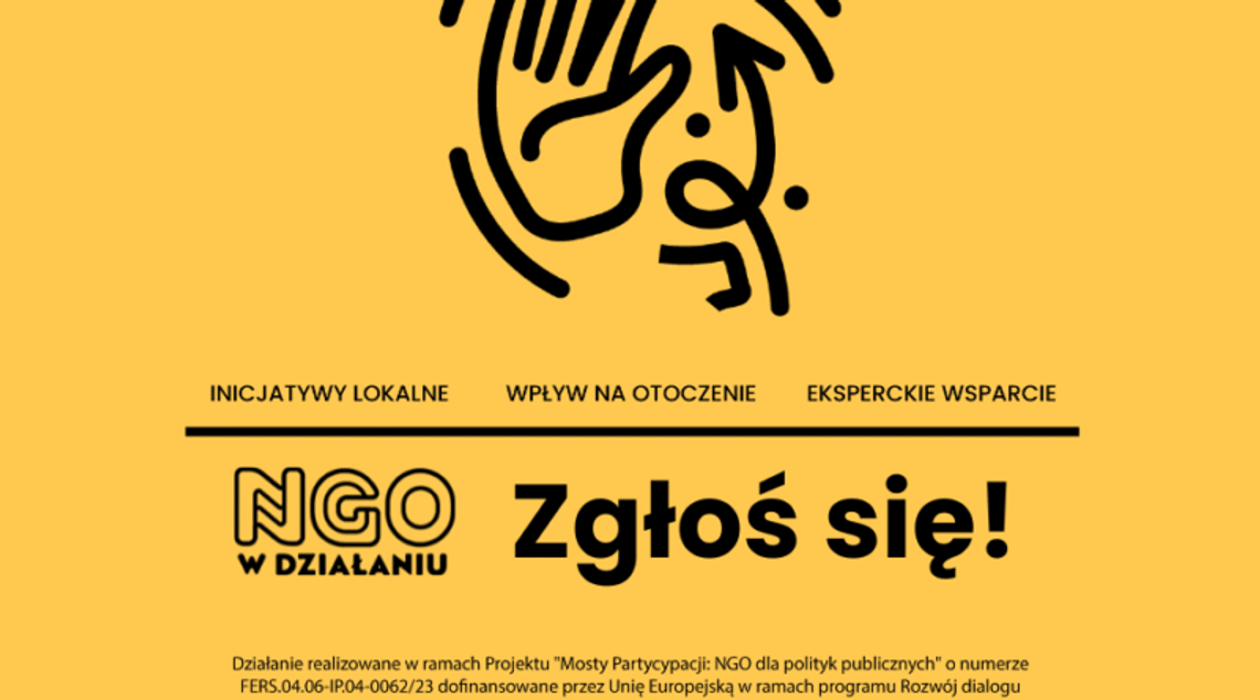 Nabór organizacji pozarządowych do drugiej edycji projektu “NGO w działaniu”