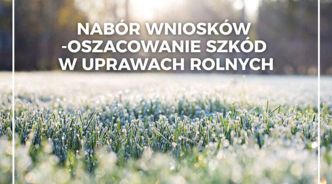 Nabór wniosków – oszacowanie szkód w uprawach rolnych