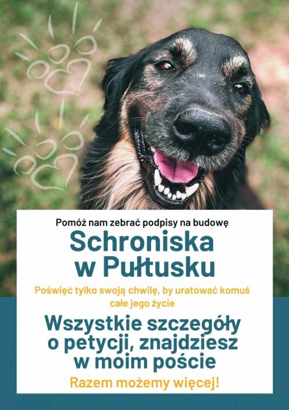 Najwyższy czas na schronisko