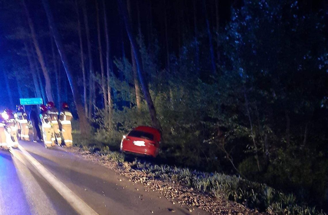 NIEPORĘT. Zjechał z drogi żeby nie zabić zwierzęcia
