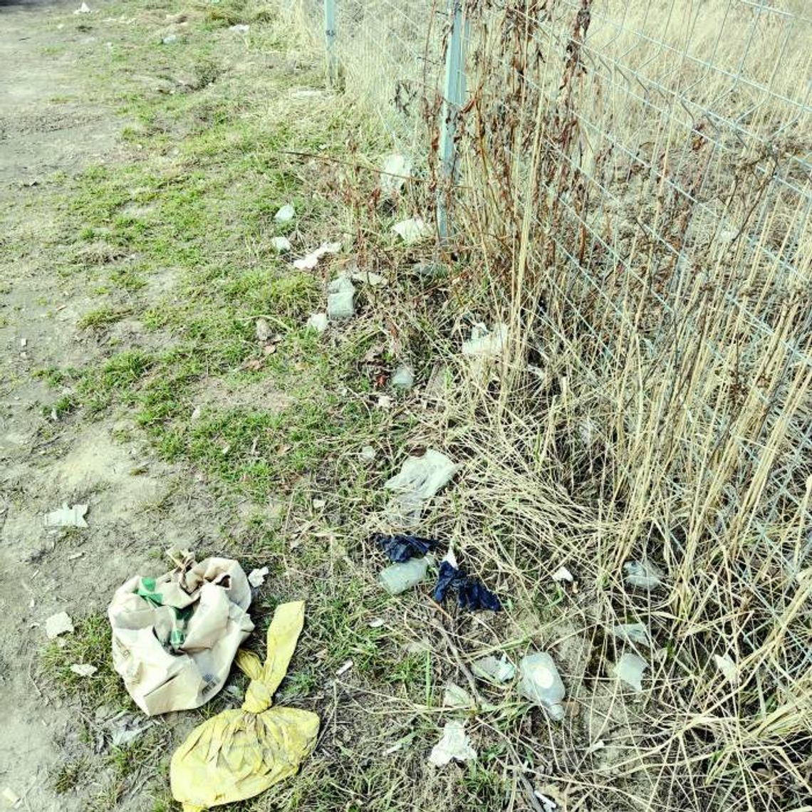 O CZYSTOŚCI MIASTA NA WIOSNĘ