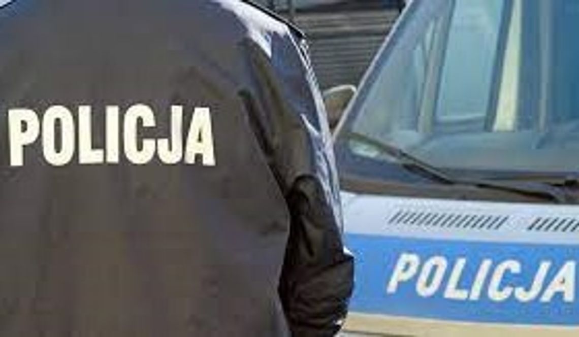 Odpowie za znieważenie policjanta