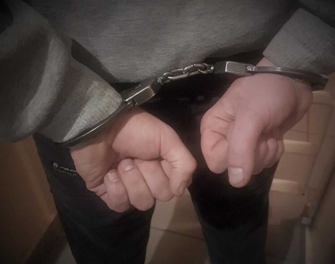 Odpowie za znieważenie policjantów