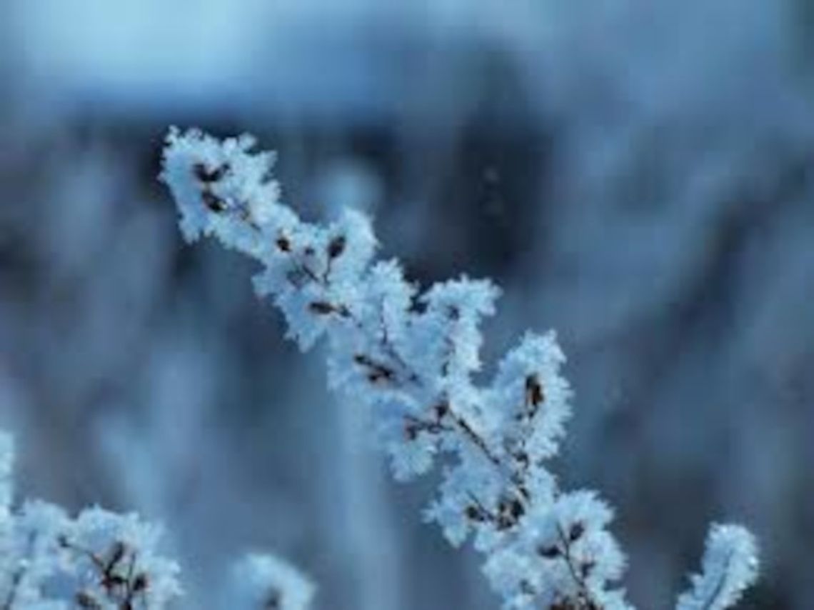 Ostrzeżenie pprzed intensywnymi opadami śniegu