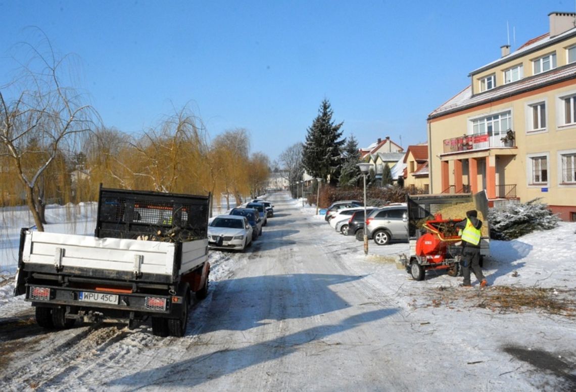 Pielęgnacja drzewostanu