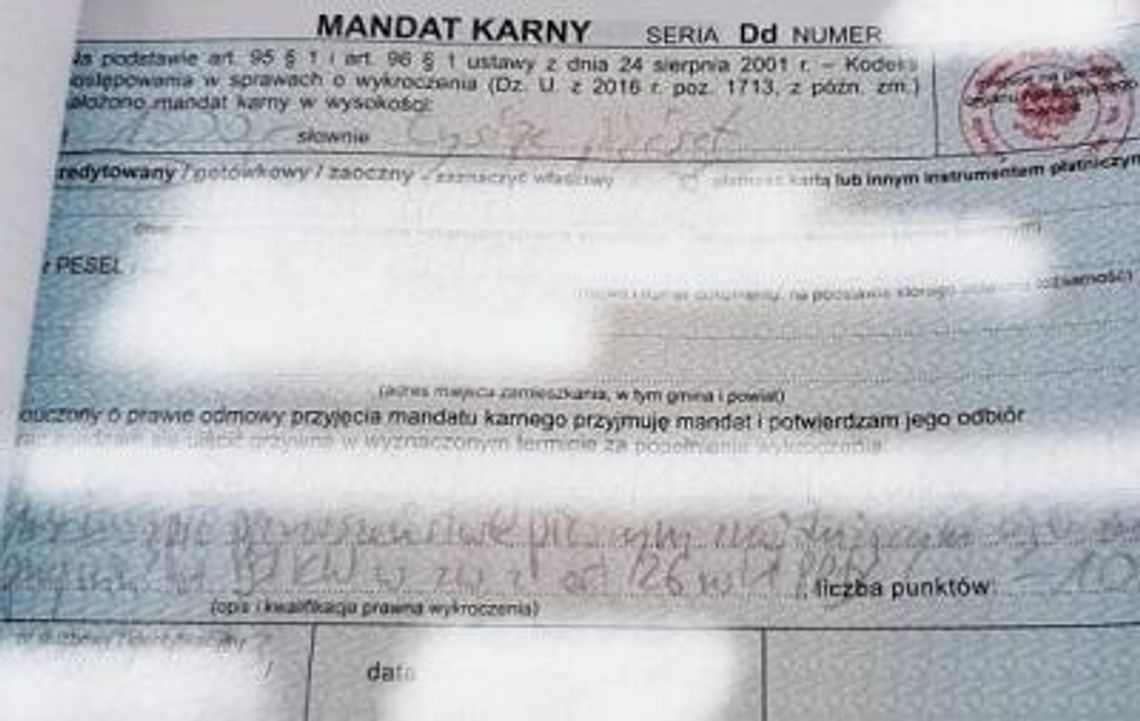 PIERWSZE MANDATY WYSTAWIONE