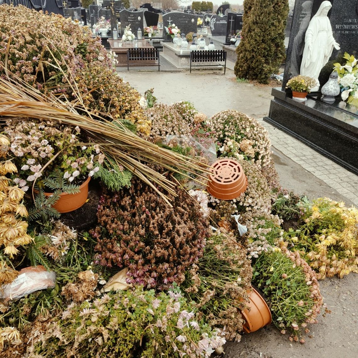 PIERWSZY CMENTARZ – OBRAZY Z 9 GRUDNIA 2025 r.