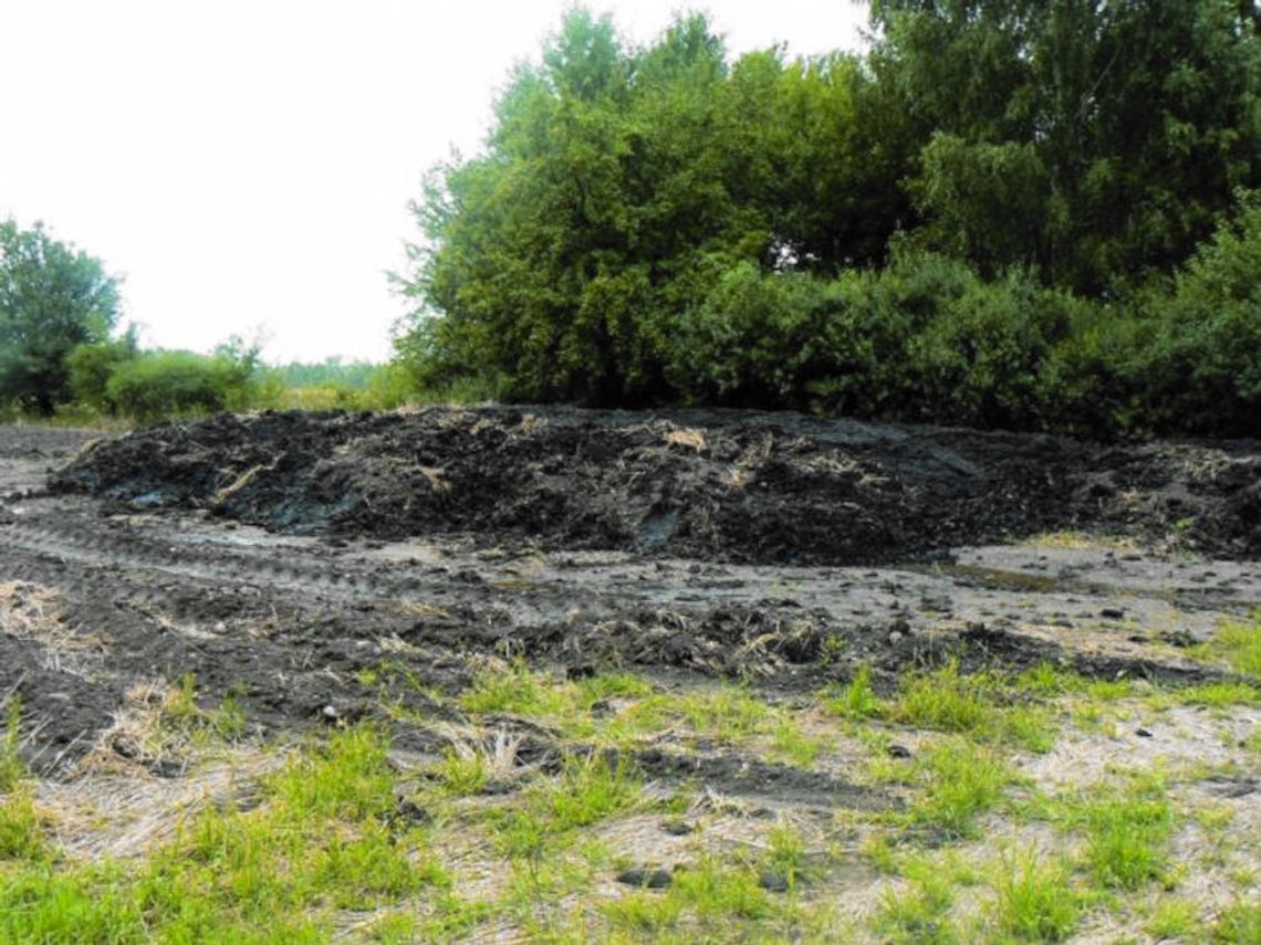 Takie odpady z oczyszczalni ścieków, ogromnie toksyczne, trafiały w różne miejsca gminy Pokrzywnica, a potem znikały bez śladu. Być może pod ziemią, być może właśnie w miejscach, gdzie teraz budują obwodnicę (zdjęcie z naszego archiwum).