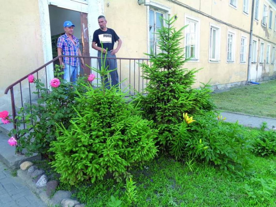 POKAŻ MI SWÓJ OGRÓDEK