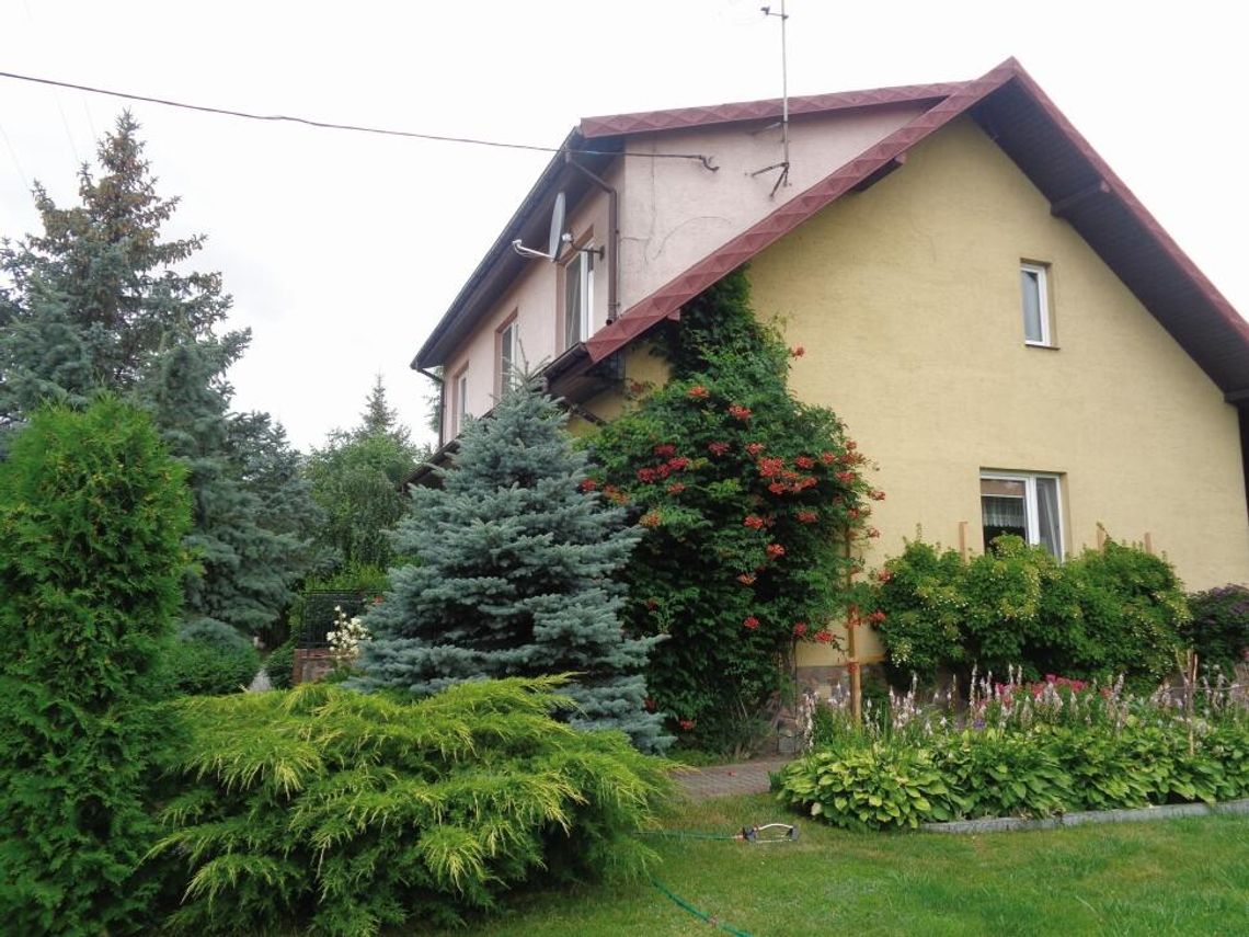 POKAŻ MI SWÓJ OGRÓDEK
