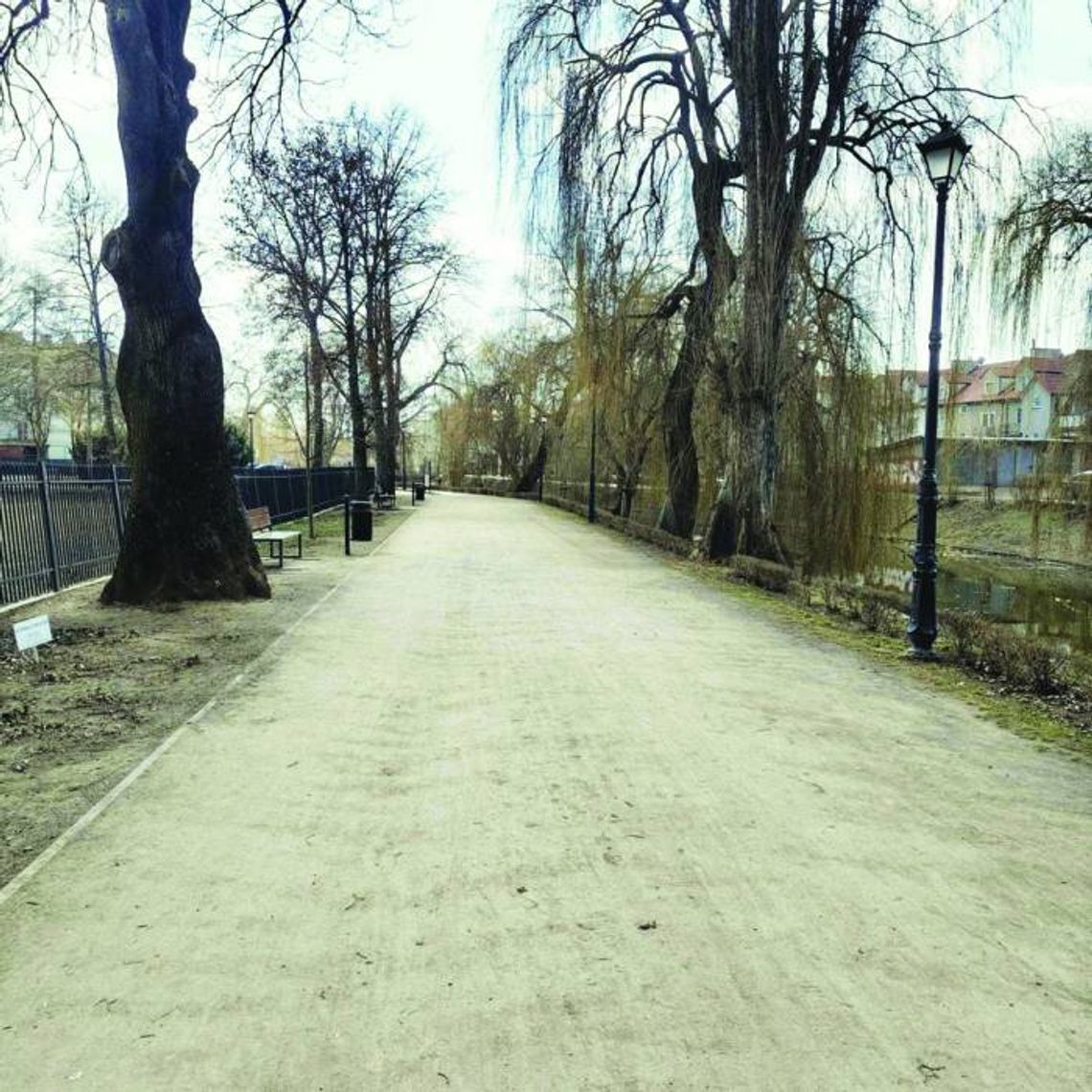 Ponownie zaglądamy w alejki