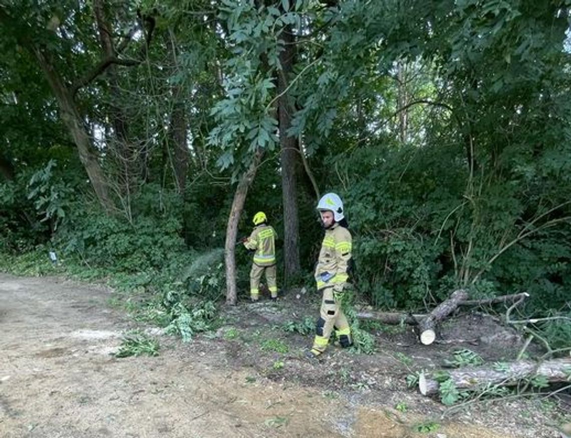 Pracowity tydzień strażaków