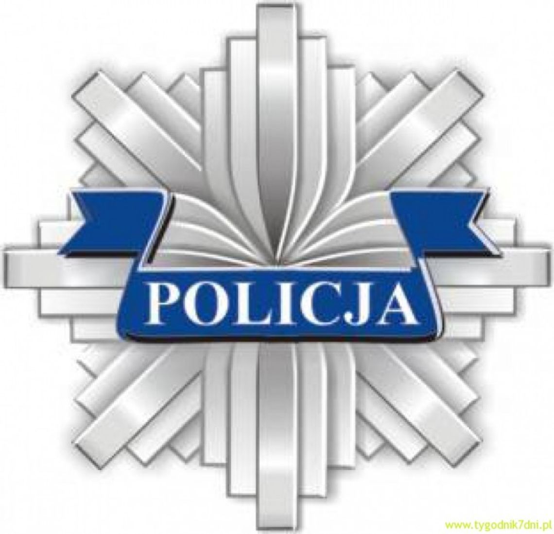 Przedświąteczna akcja policji