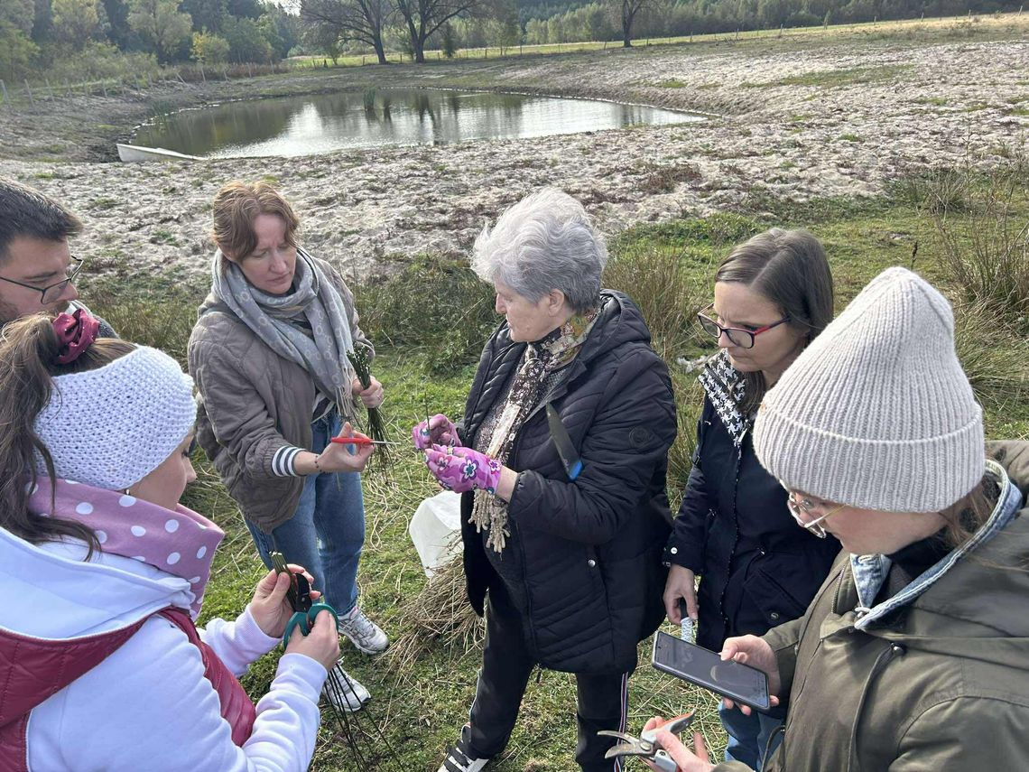 RUSZYŁY NA ZBIÓR SITOWIA