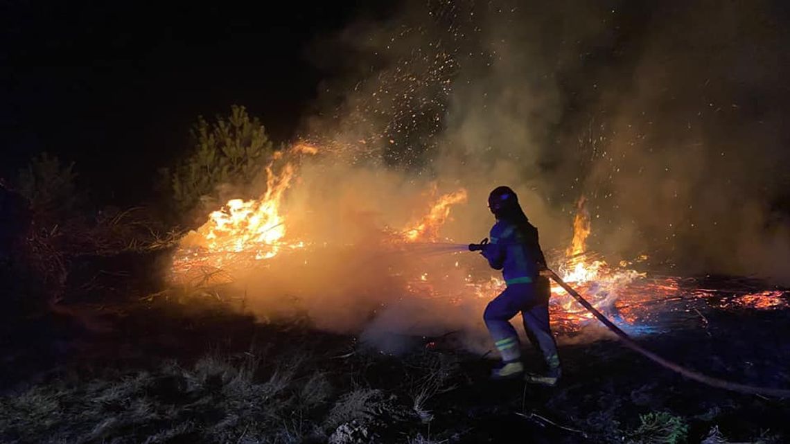 SEROCK. Płonęła trawa i gałęzie. Akcja gaśnicza w Dosinie