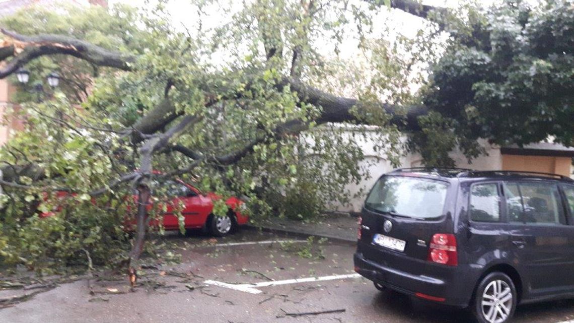Skutki wczorajszej nawałnicy