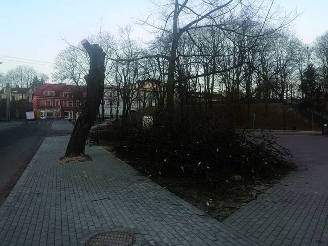 SMĘTNY WIDOK