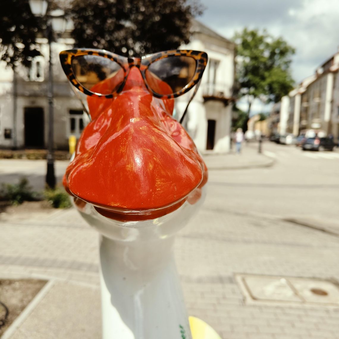 ŚMIESZNE FOTO ŚMIESZNE FOTO