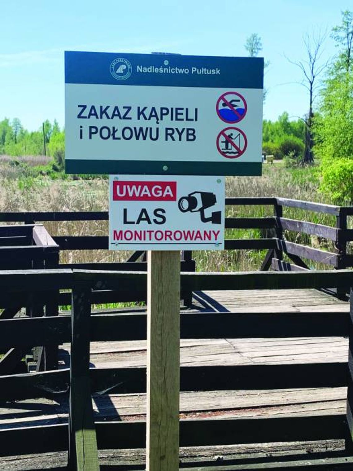 STROJENIE LASU