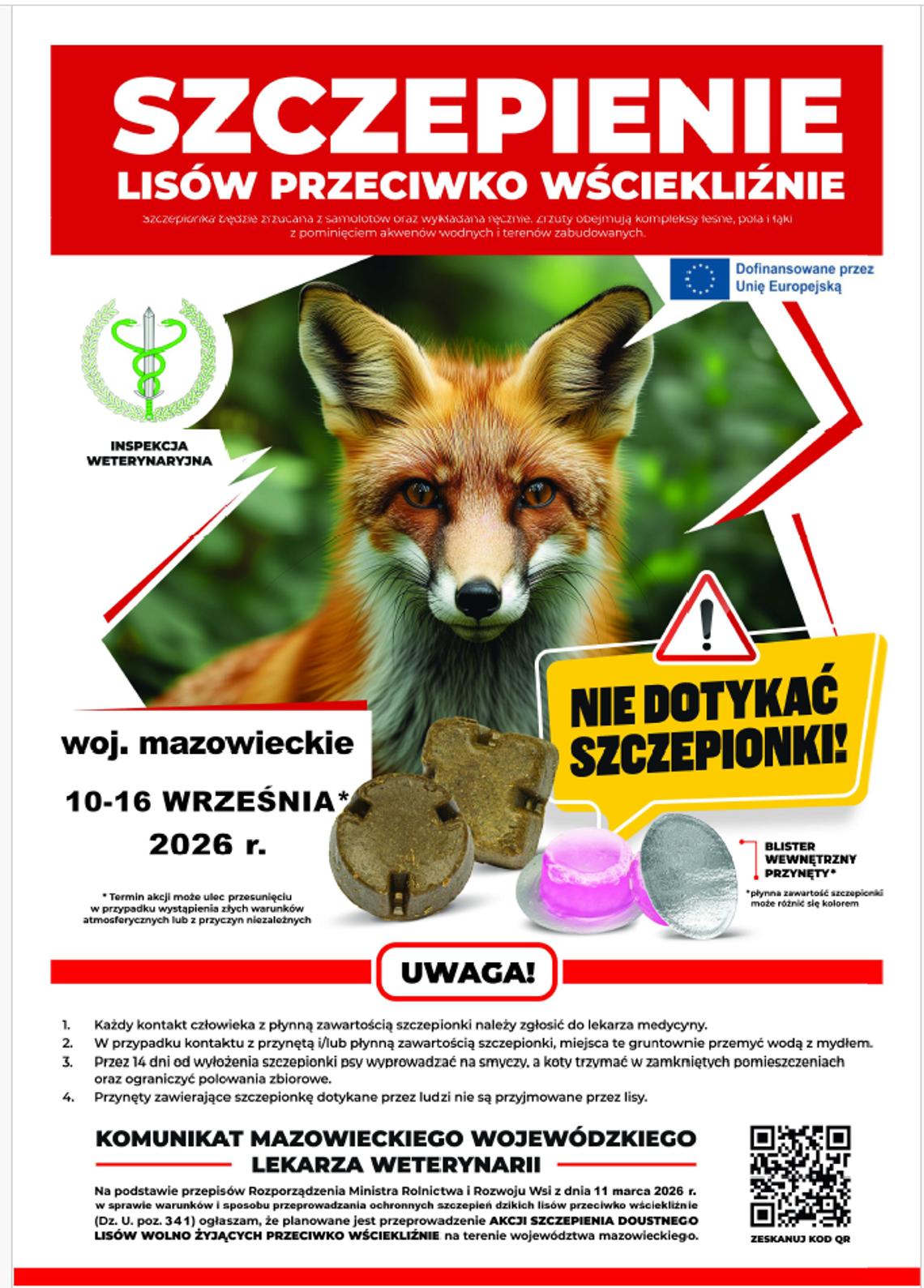 Szczepienie lisów przeciwko wściekliźnie Szczepienie lisów przeciwko wściekliźnie