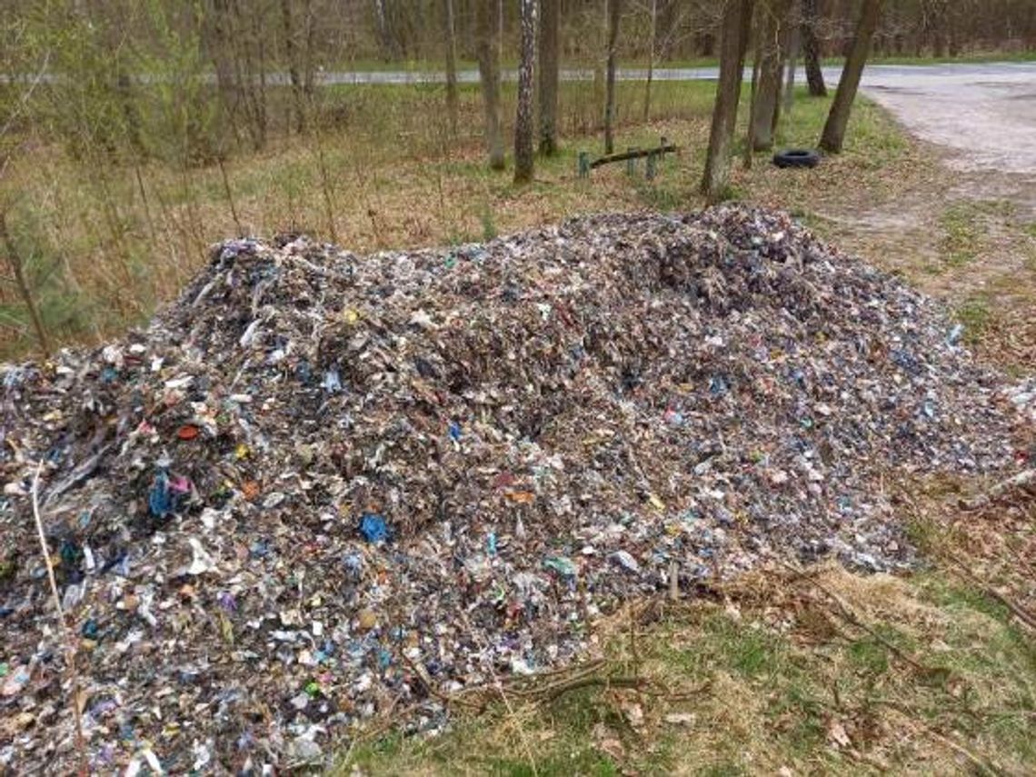Szokujące znalezisko w lesie