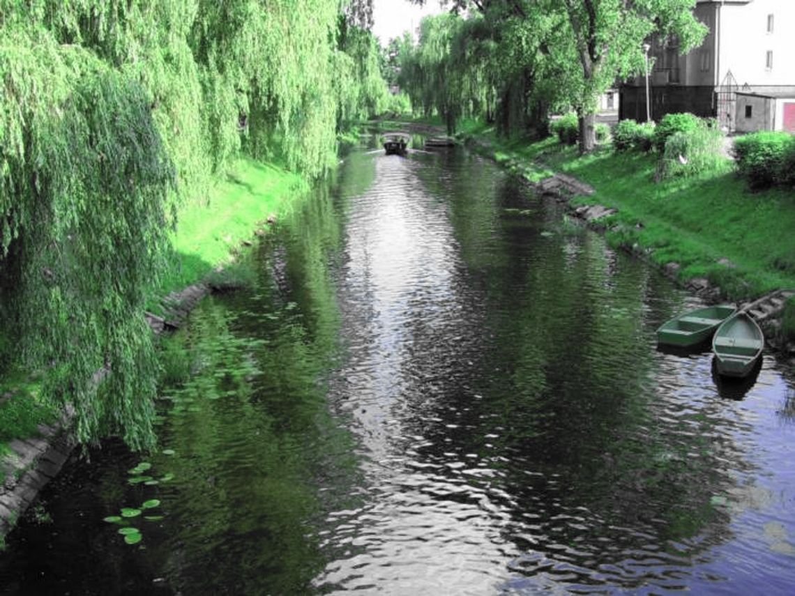 Tajemniczy list poruszył miasto Tajemniczy list poruszył miasto