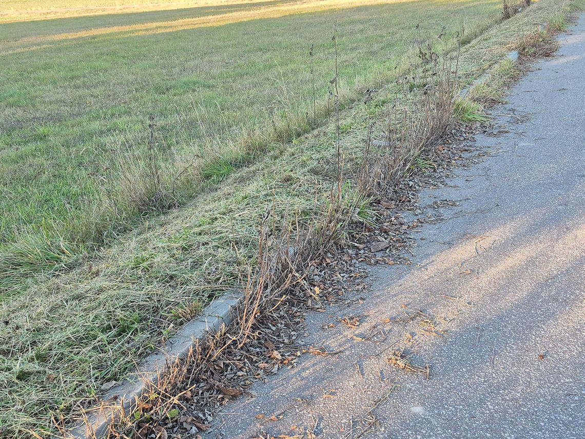 Tak to się kosi Tak to się kosi