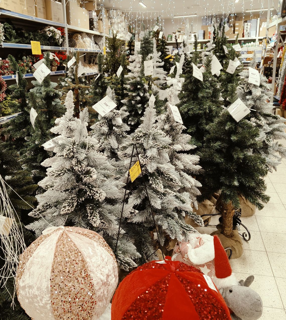 Teraz Boże Narodzenie to niezła zagwozdka