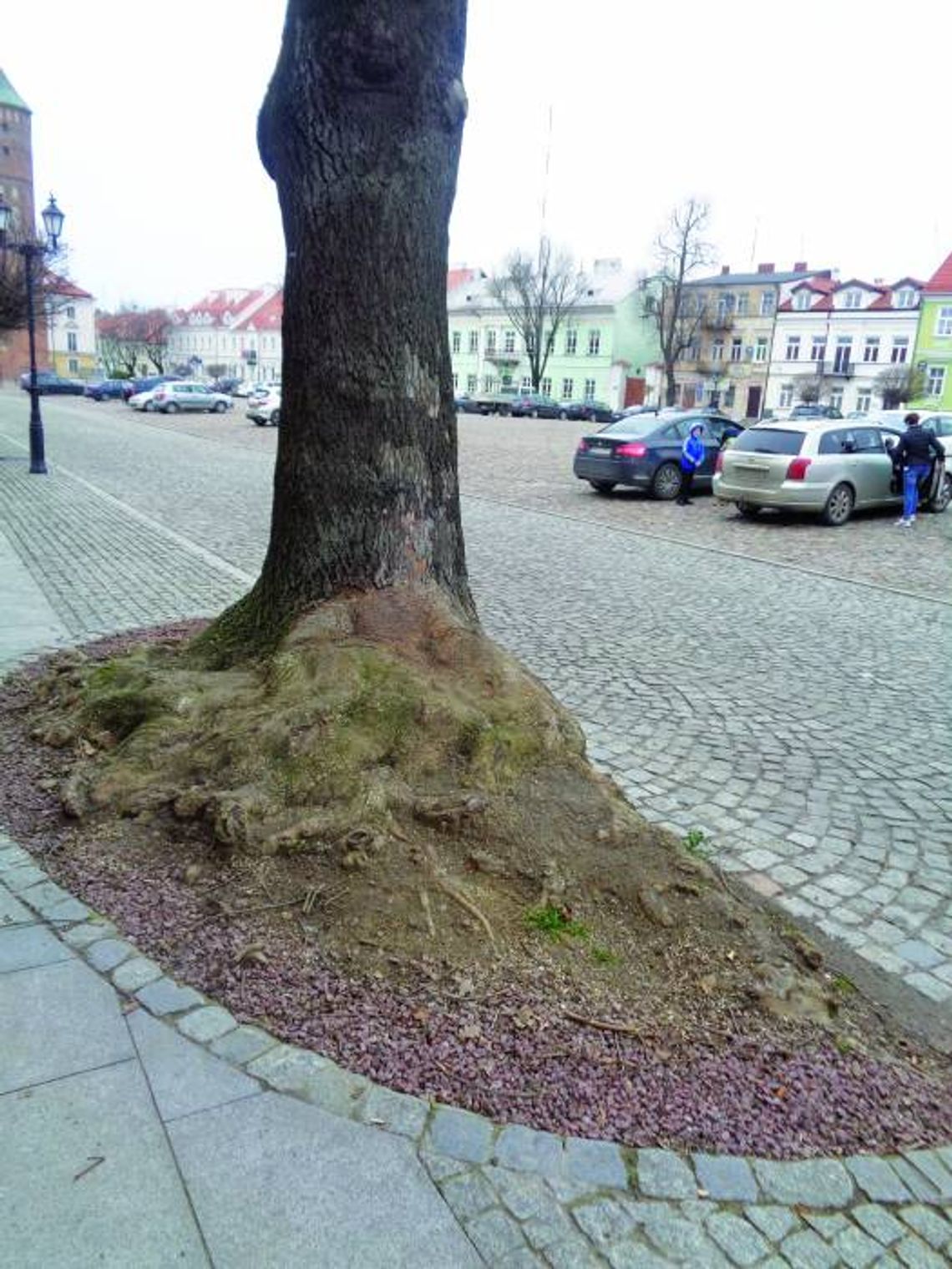 TO NAM SIĘ PODOBA