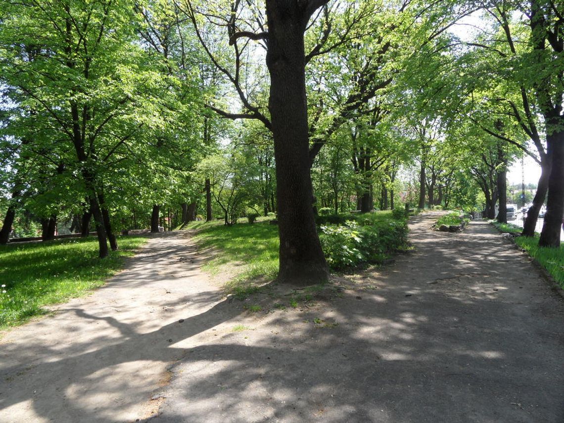 TRYPTYK PUŁTUSKI - Wygon, spacerniak, cmentarz