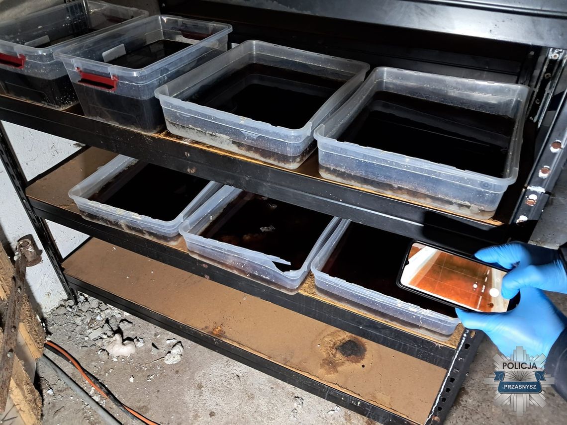 Trzy tony narkotyków przejęte na Mazowszu