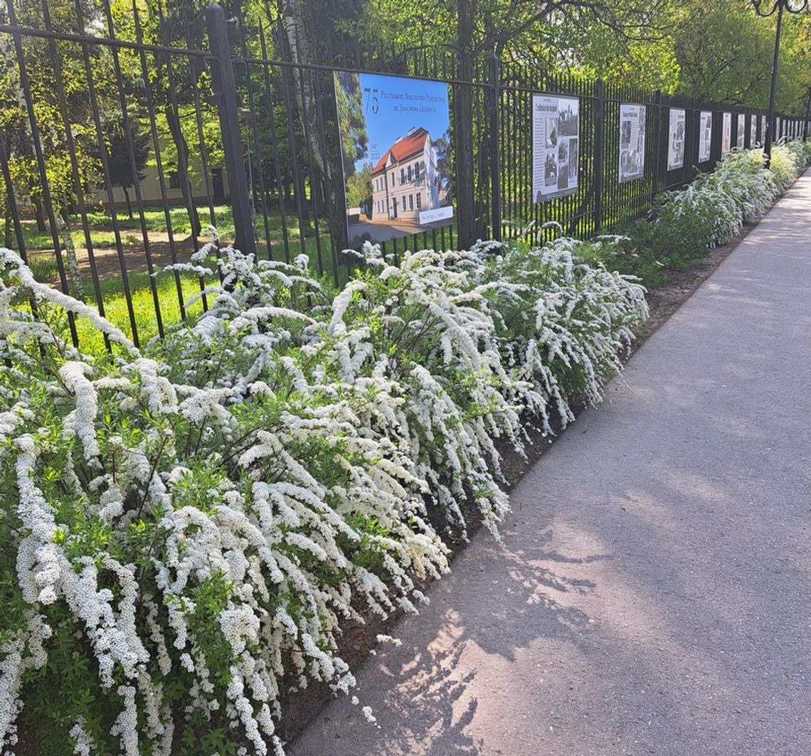 Tu jest ładnie