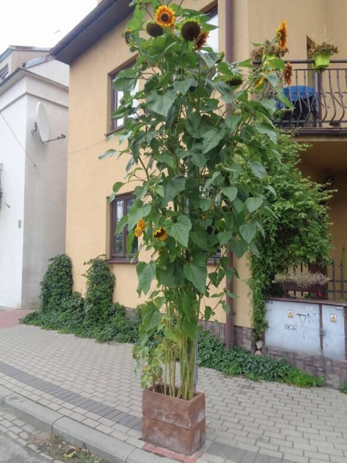 TU JEST PIĘKNIE