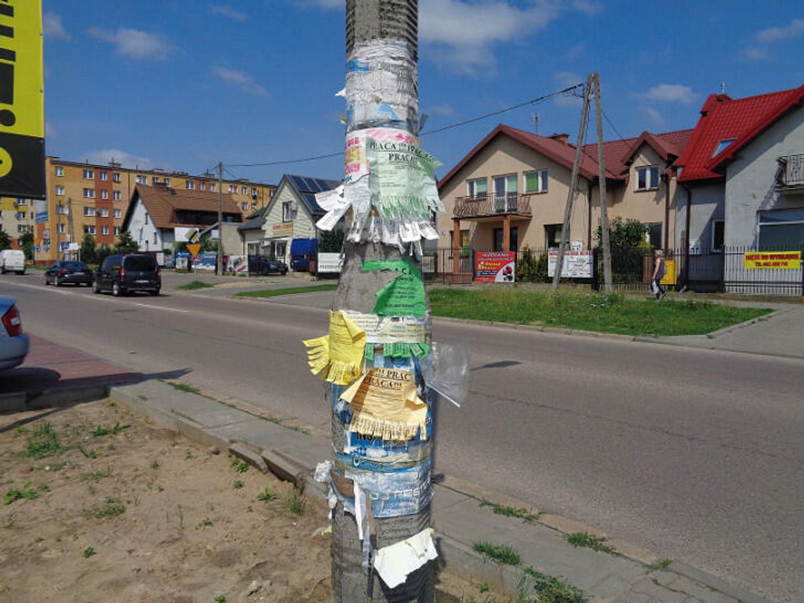 Tylko nie na drzewach!