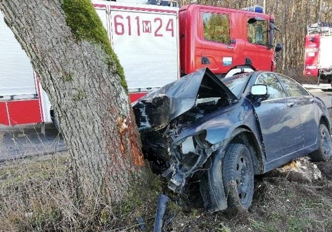 Uderzyła w drzewo