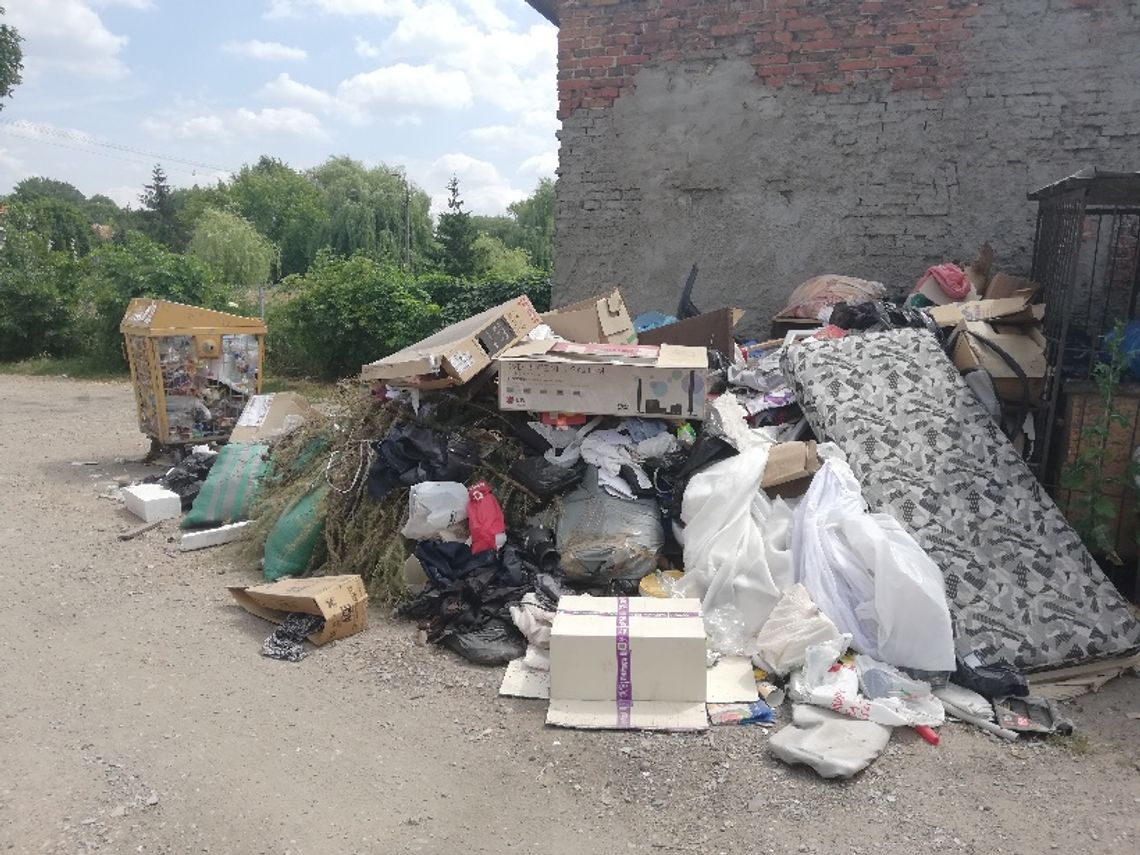 W głowie się nie mieści!