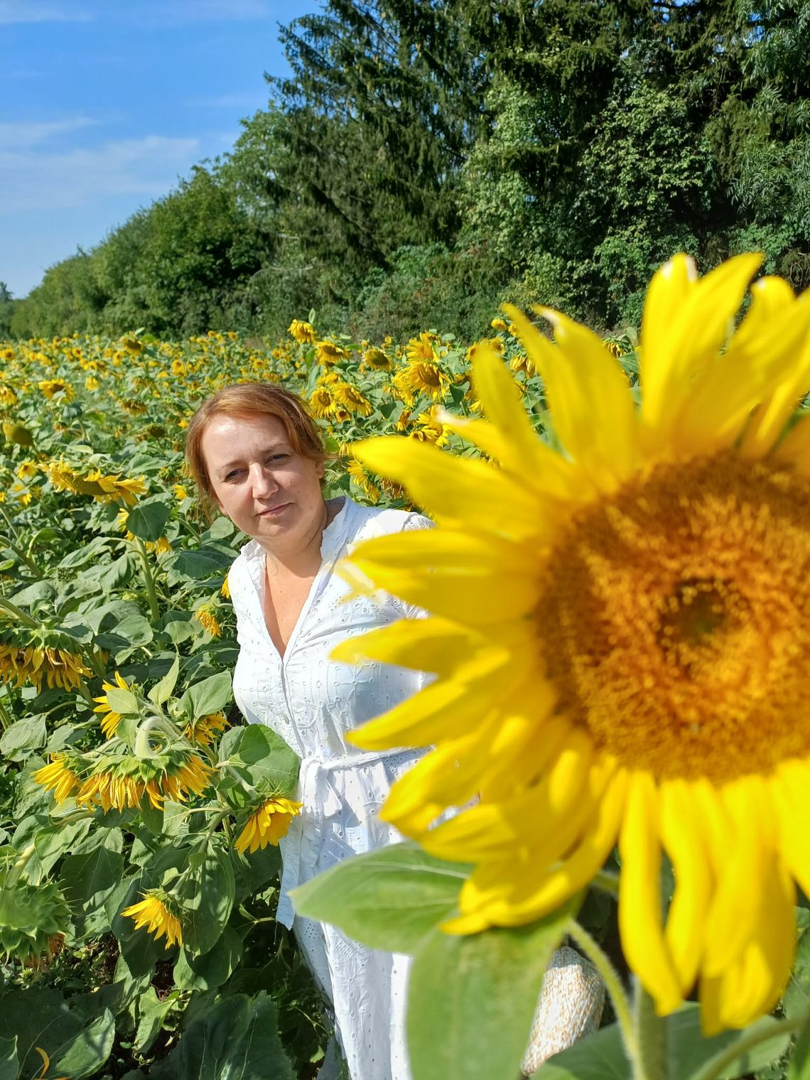 W OGRODZIE MARZEŃ przy ŚWIĘTOJAŃSKIEJ W OGRODZIE MARZEŃ przy ŚWIĘTOJAŃSKIEJ