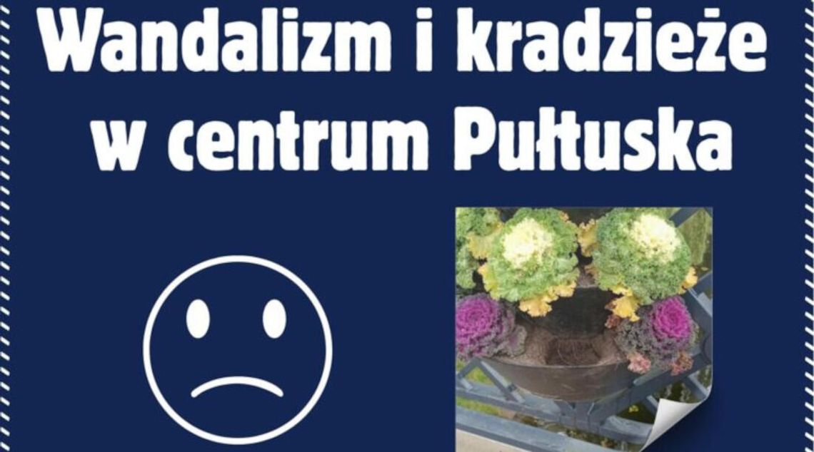 Wandalizm i kradzieże w centrum miasta. Skradziono 90 roślin!