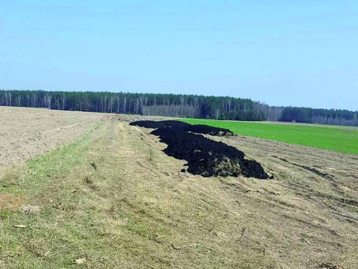 Wciąż trafiają na pola
