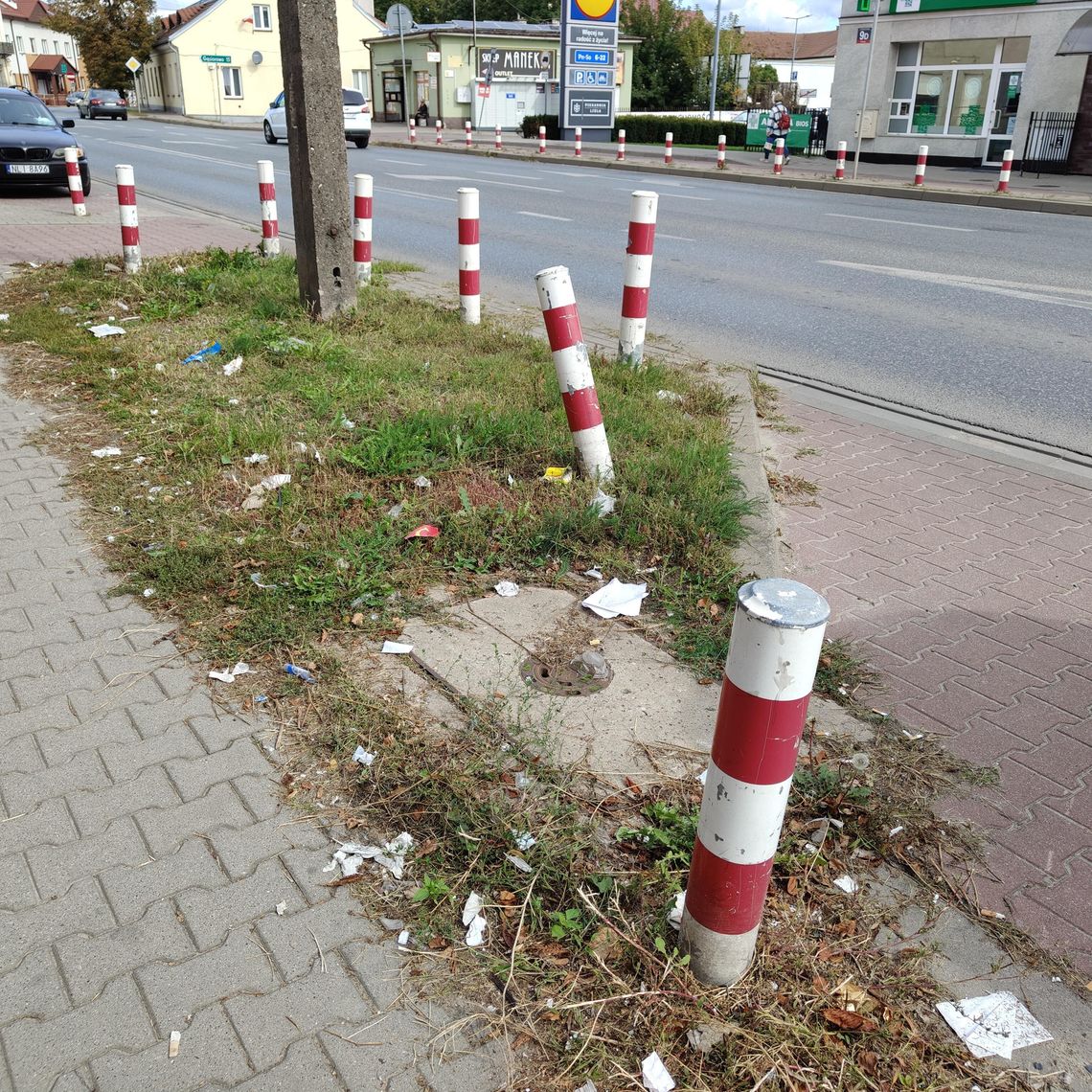 WSTRĘTNE FOTO WSTRĘTNE FOTO