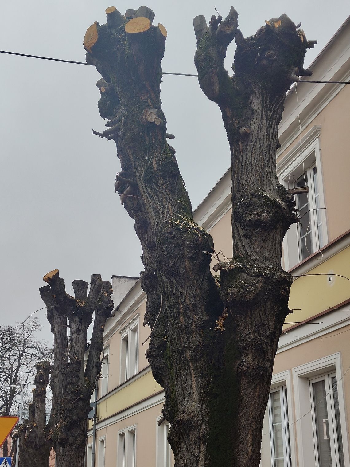 WYKONANE NIEPRAWIDŁOWO