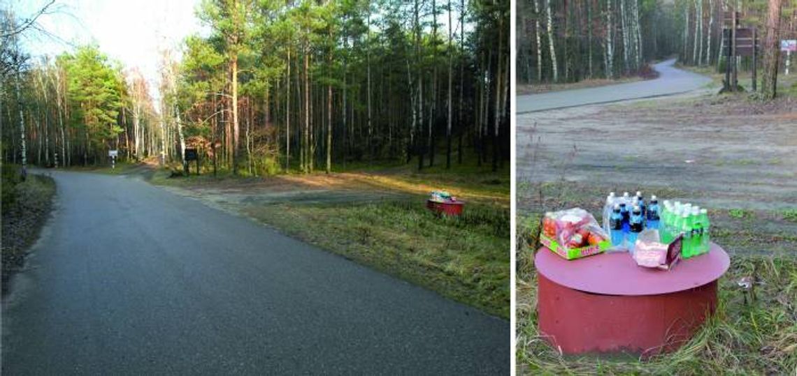 Za darmo w środku lasu