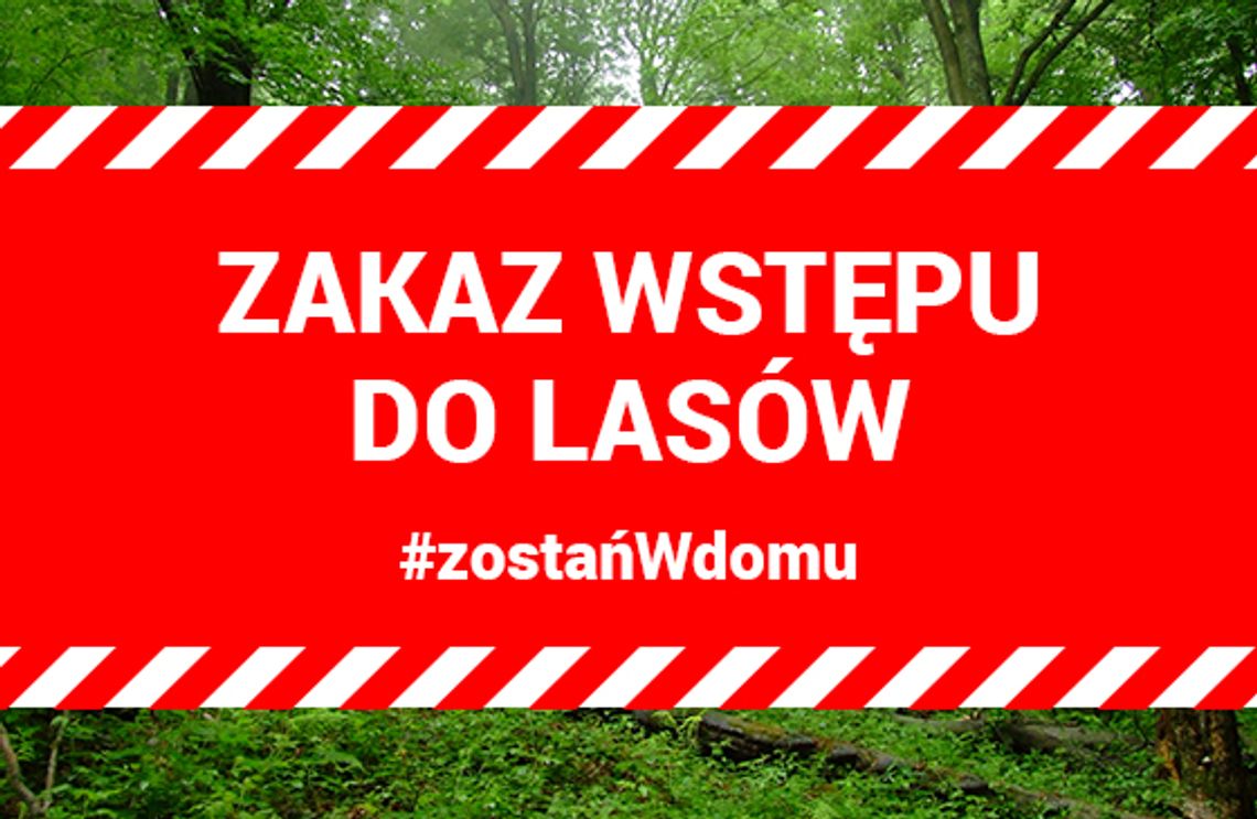 ZAKAZ WSTĘPU DO LASU DO 11 KWIETNIA 2020 r.
