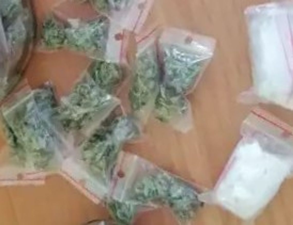 Zatrzymani za posiadanie i handel narkotykami