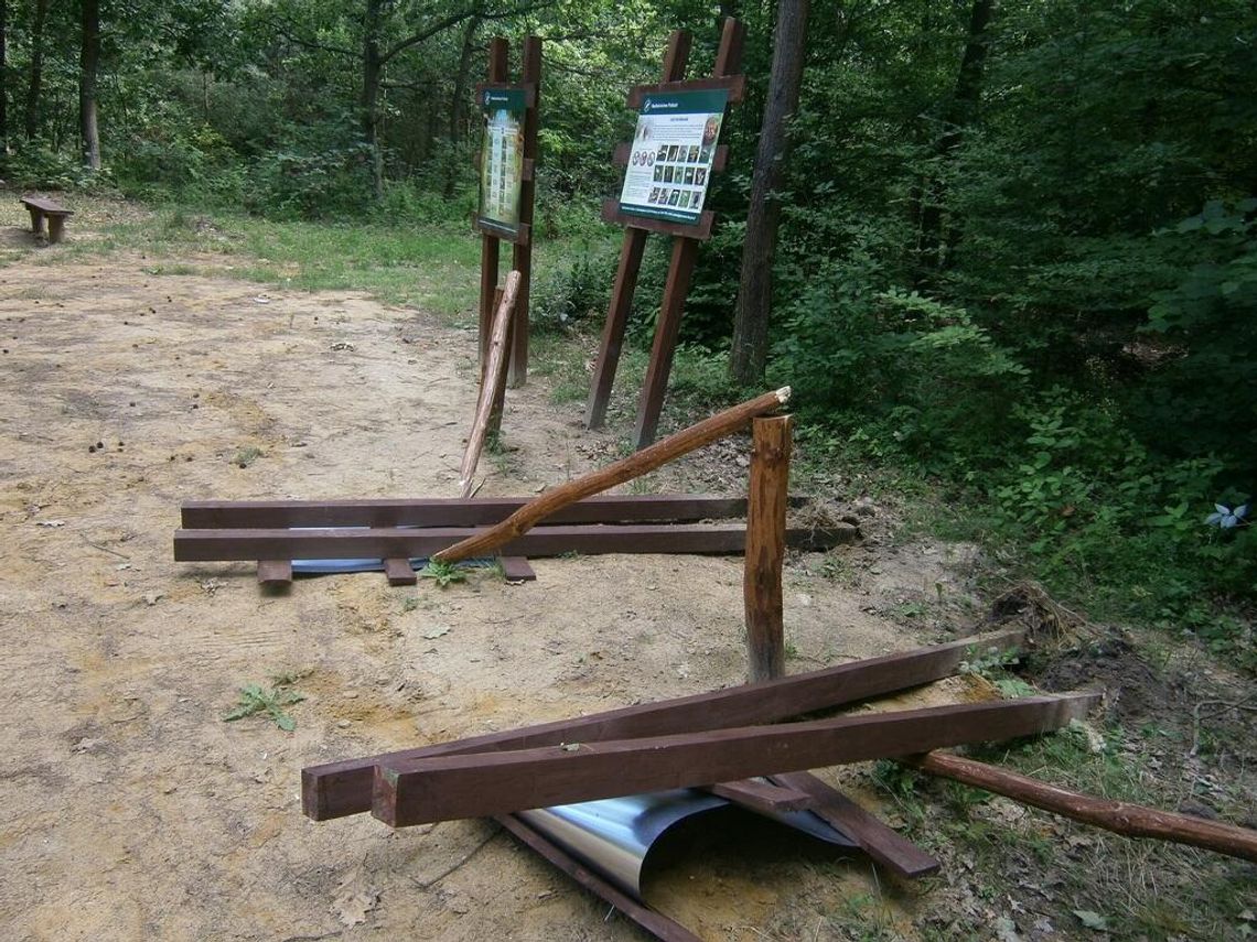 Zatrzymany sprawca zniszczenia tablic