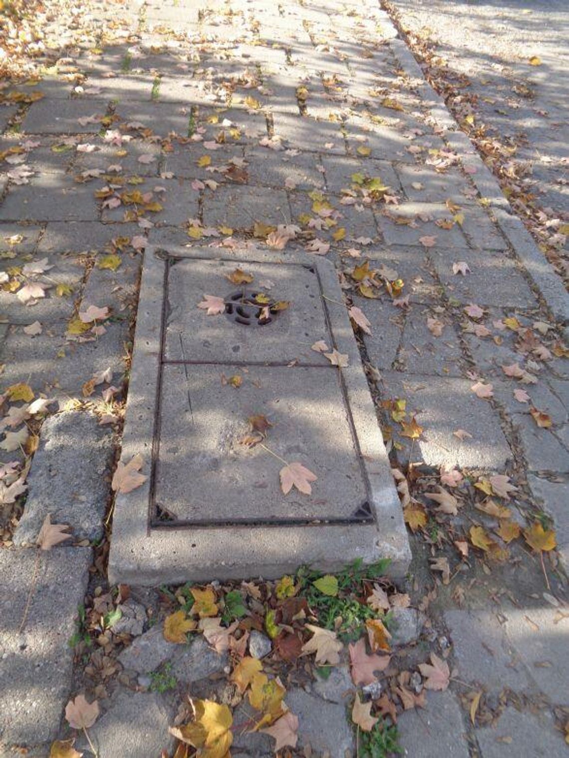 ZDAJEMY SOBIE SPRAWĘ